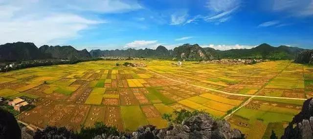 中國(guó)經(jīng)濟(jì)體制改革基金會(huì)全國(guó)第一！中國(guó)改革熱度第三方評(píng)估出爐，云浮宣傳系數(shù)在全國(guó)343個(gè)城市居首位                             