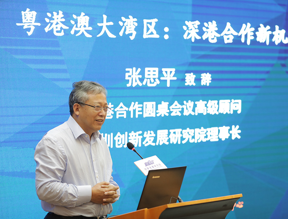 中國經濟體制改革基金會張思平：在粵港澳大灣區再造幾個香港                                                                  